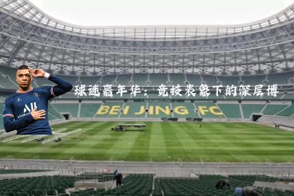 球迷嘉年华:竞技表象下的深层博弈